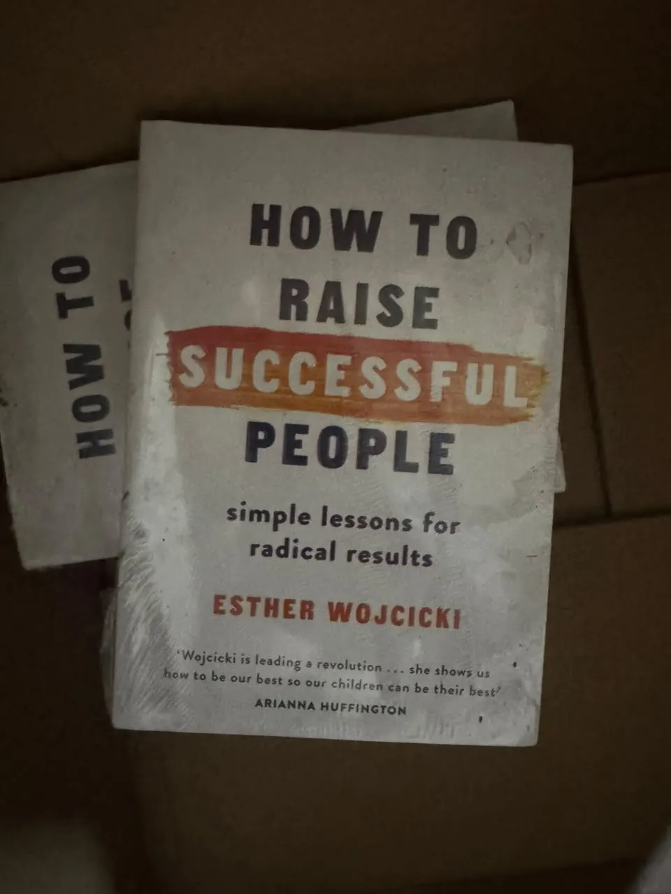 How to Raise Successful People: Simple Lessons for Radical Results