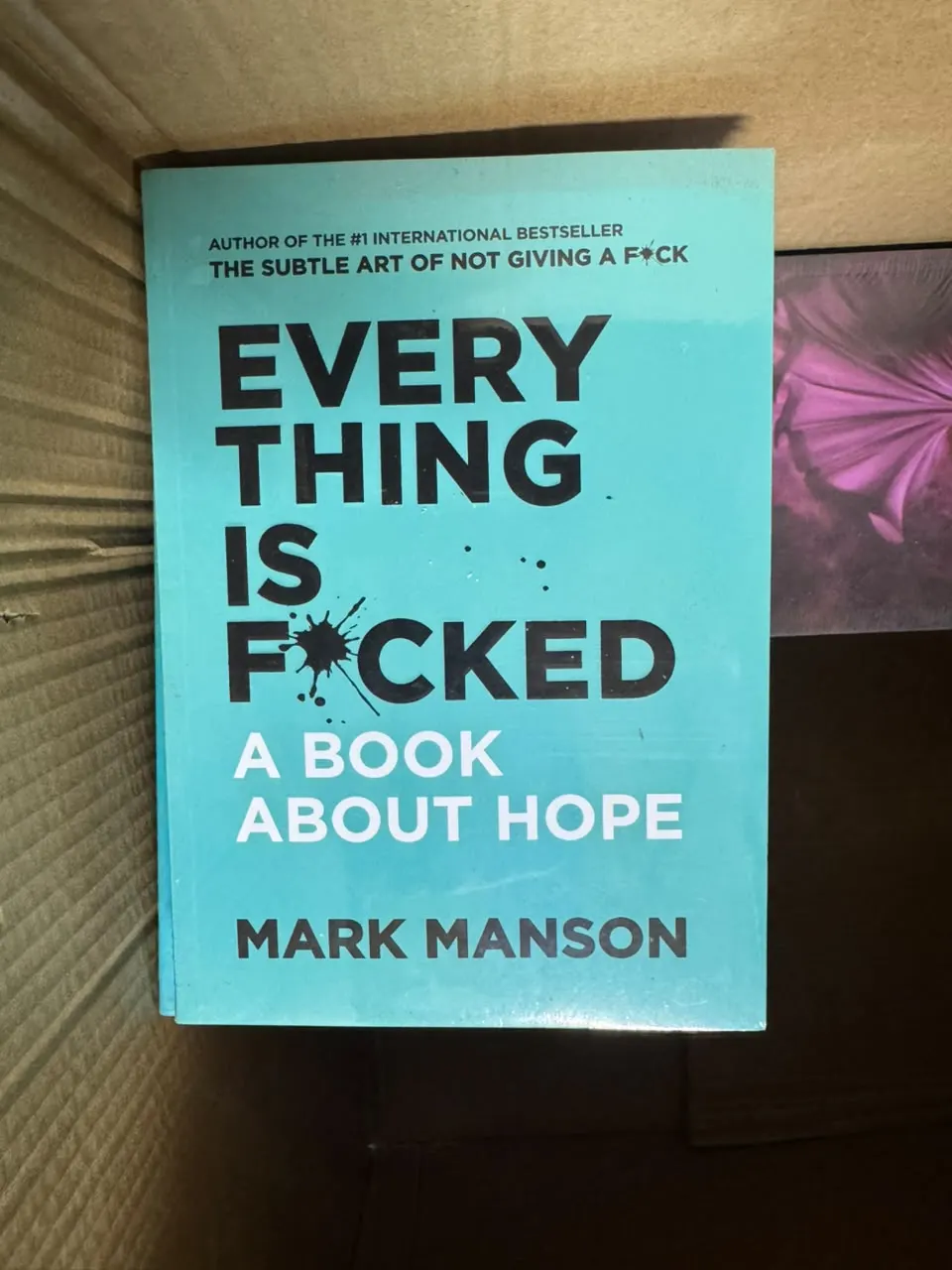 Everything Is F*cked: A Book About Hope