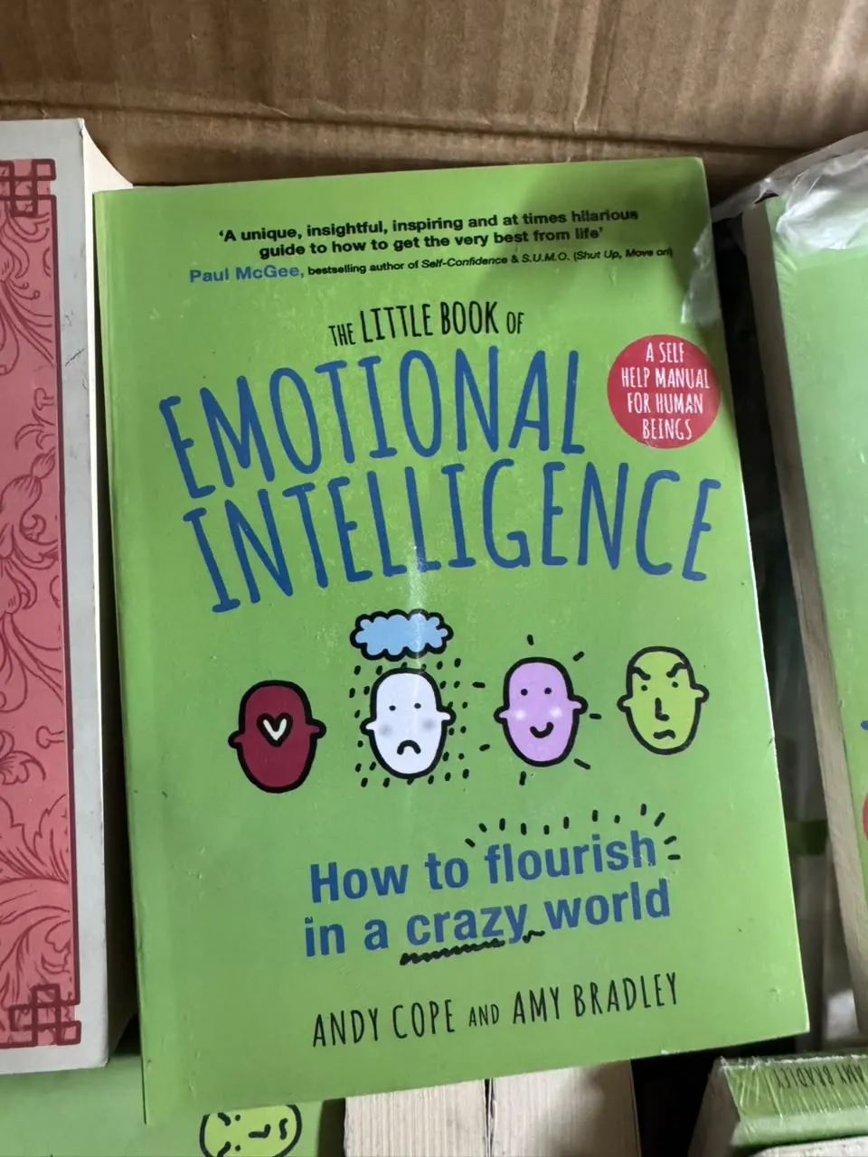 The Little Book of Emotional Intelligence: How to Flourish in a Crazy World