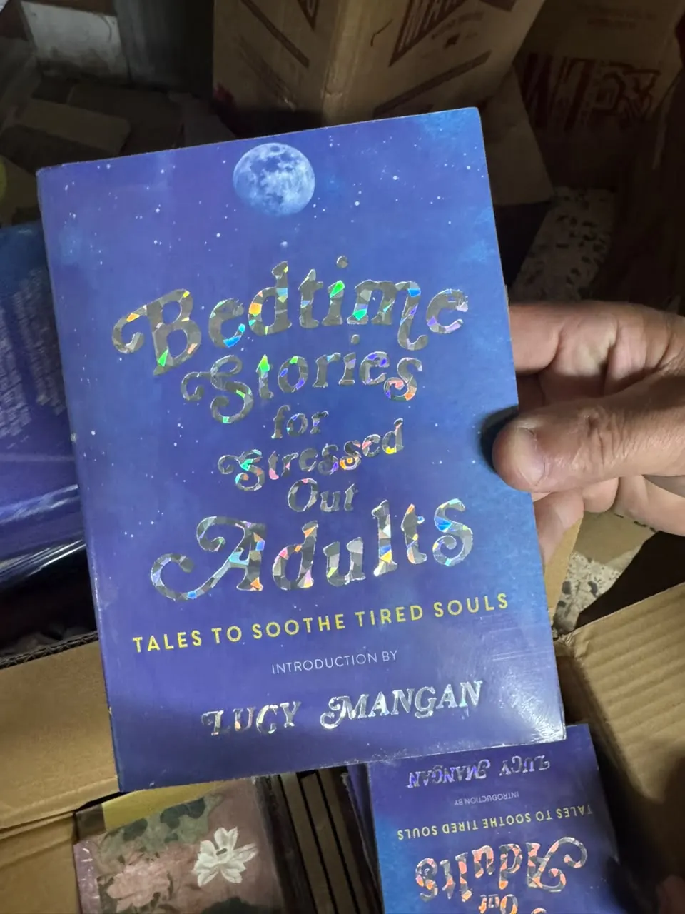 Bedtime Stories for Stressed Out Adults: Tales to Soothe Tired Souls