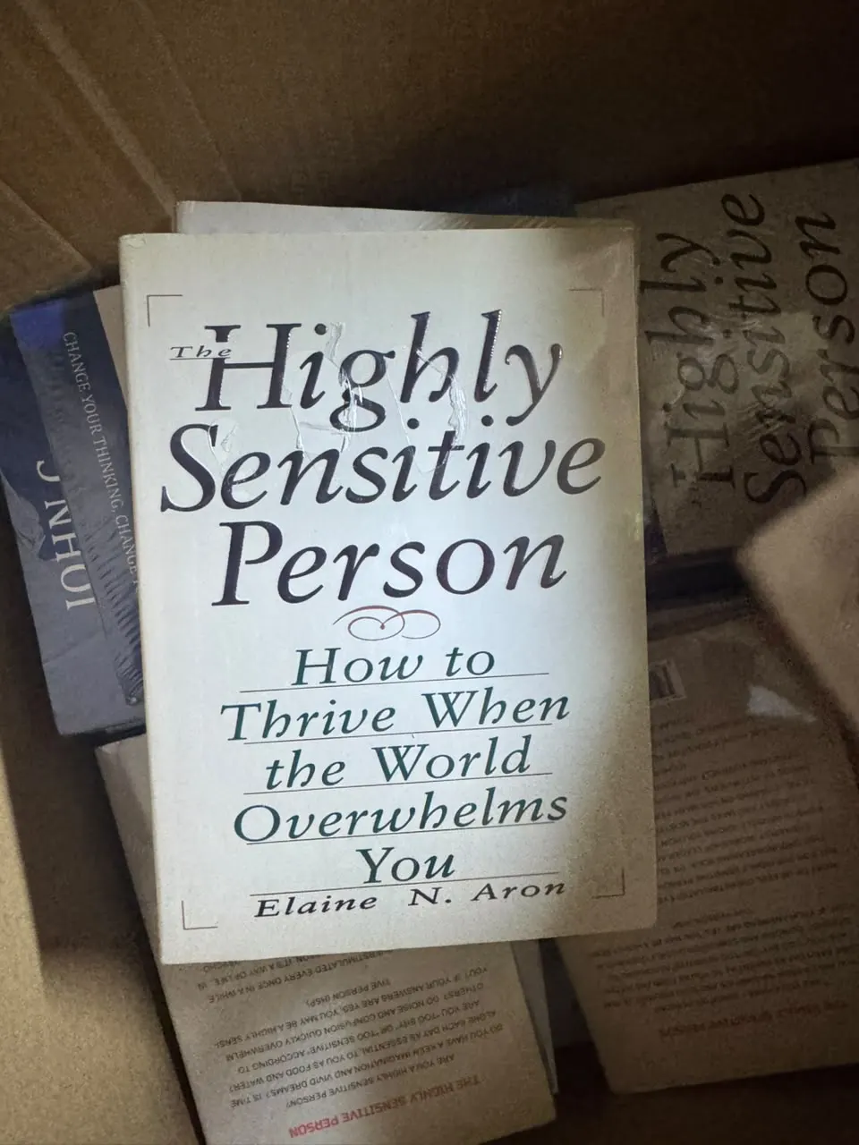 The Highly Sensitive Person: How to Thrive When the World Overwhelms You